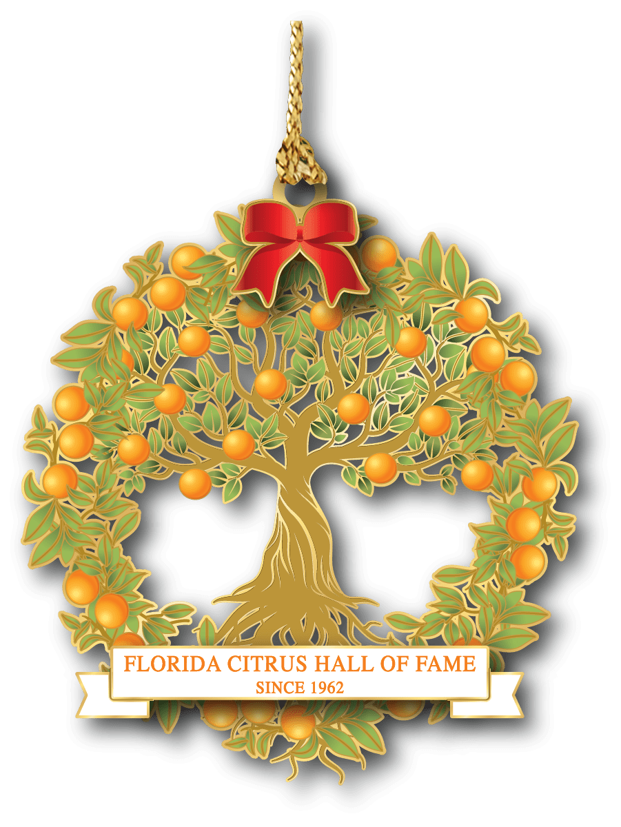 Commemorative Special Event Keepsakes & Ornaments