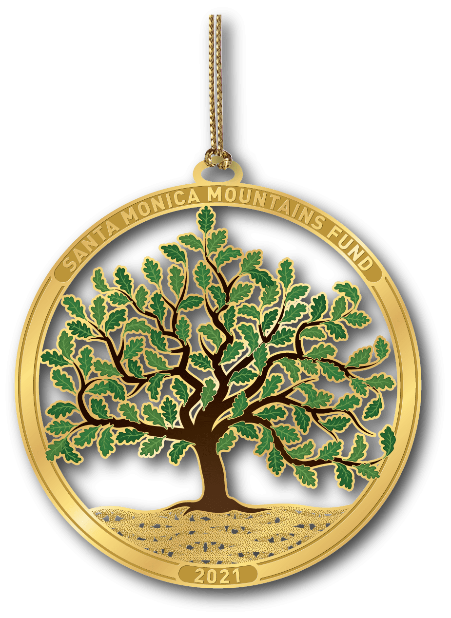 Custom Public Land & National Park Ornaments
