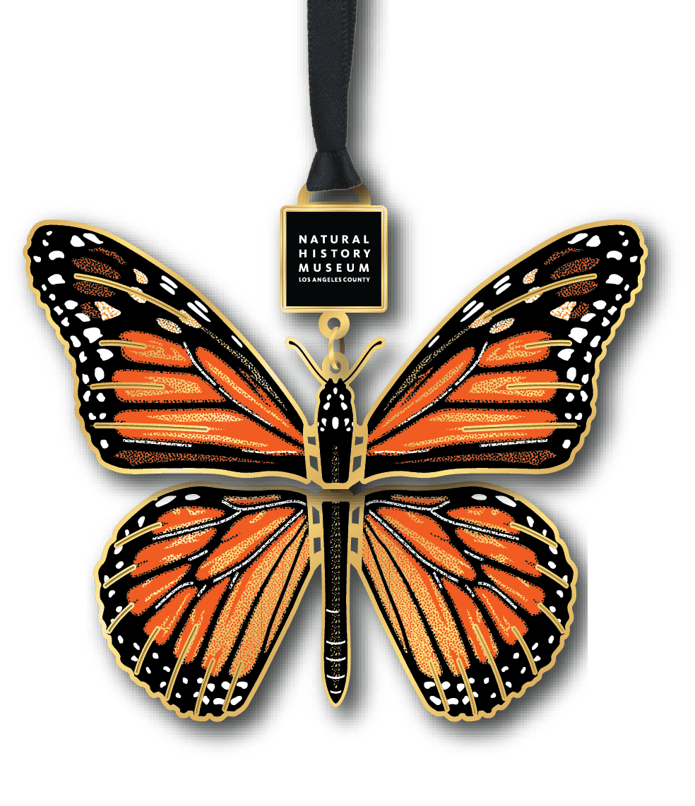 Custom Historical Ornaments & Keepsakes