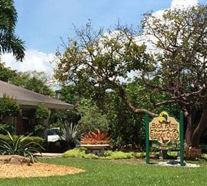 Custom Ornaments with the Boca Raton Garden Club
