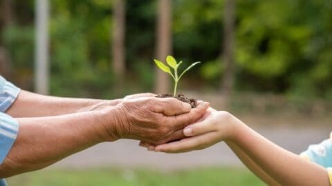 6 Practical and Effective Fundraising Tips for Non-Profits to Upgrade Your Performance