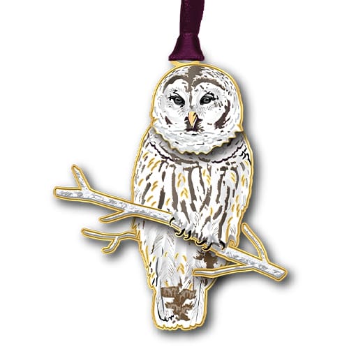 Winter Owl