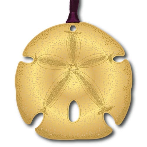 Sand Dollar