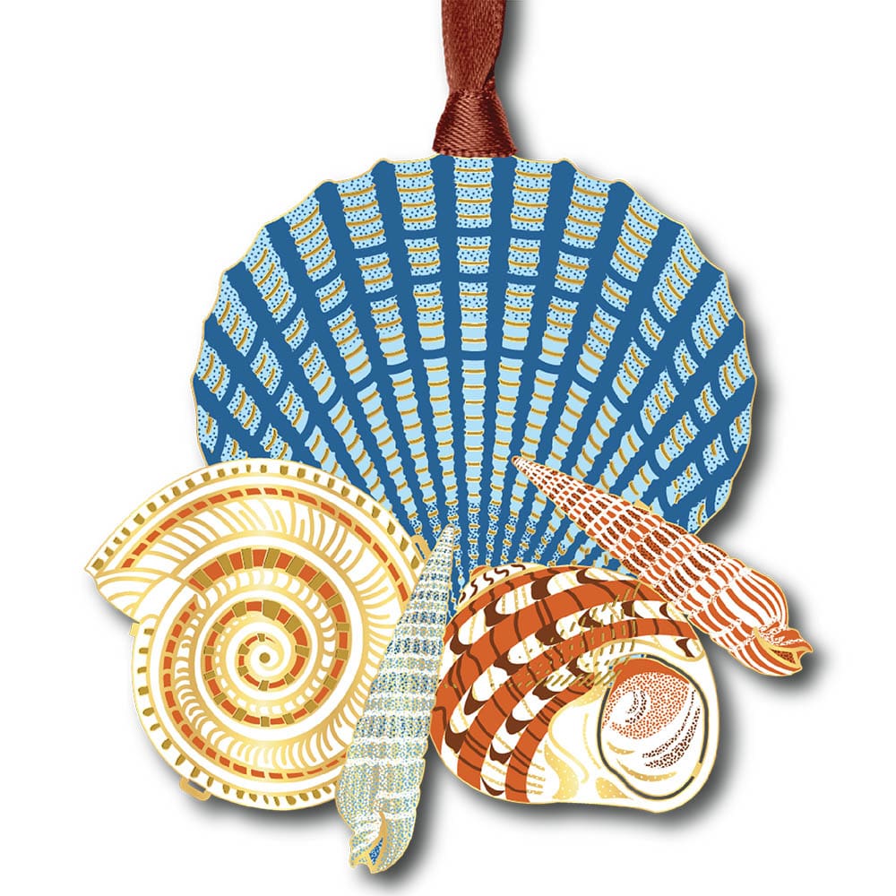 Seashells on the Shore