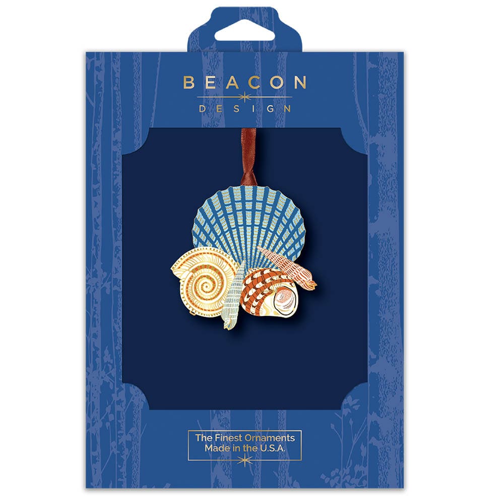 Seashells on the Shore