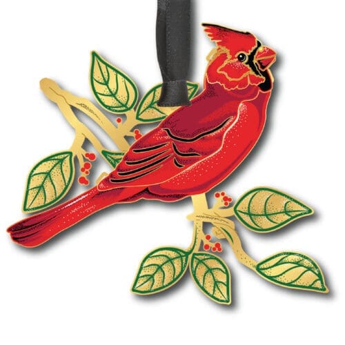 Cardinal in Nature