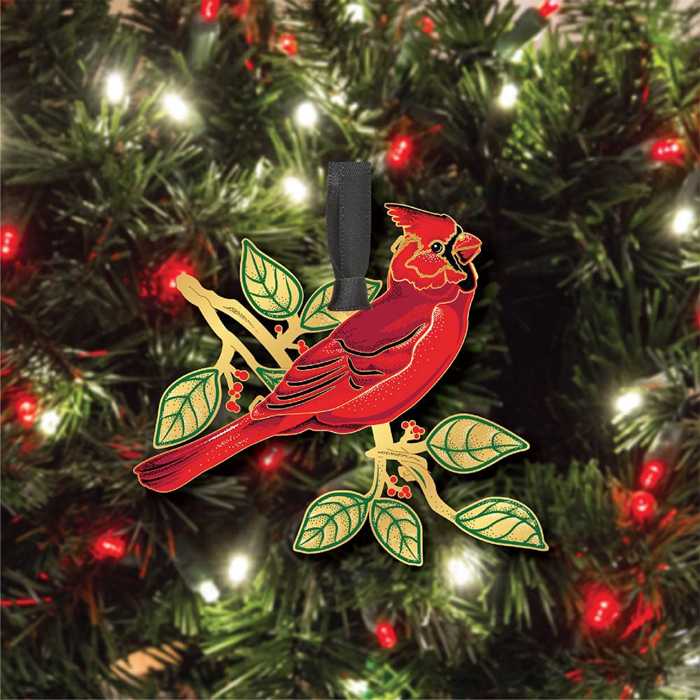 Cardinal in Nature