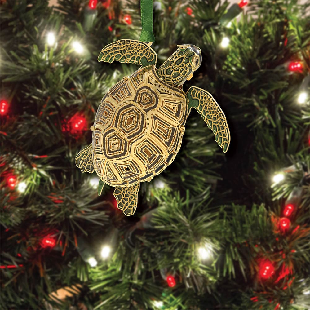 Sea Turtle 3D w/ Oval Namedrop