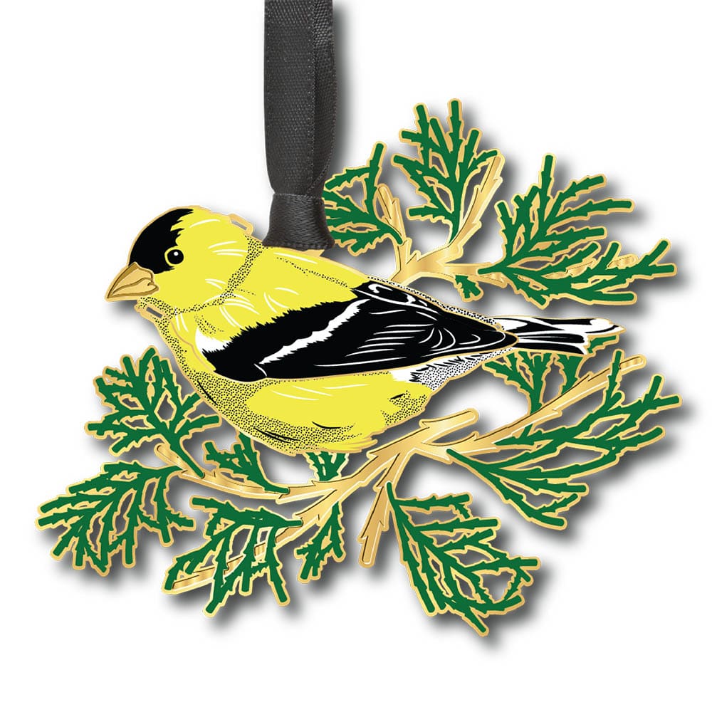 Goldfinch