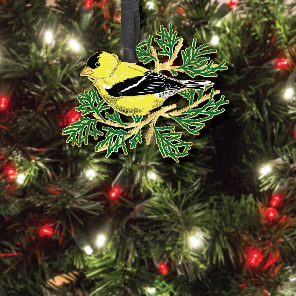Goldfinch w/ Oval Namedrop - Image 3