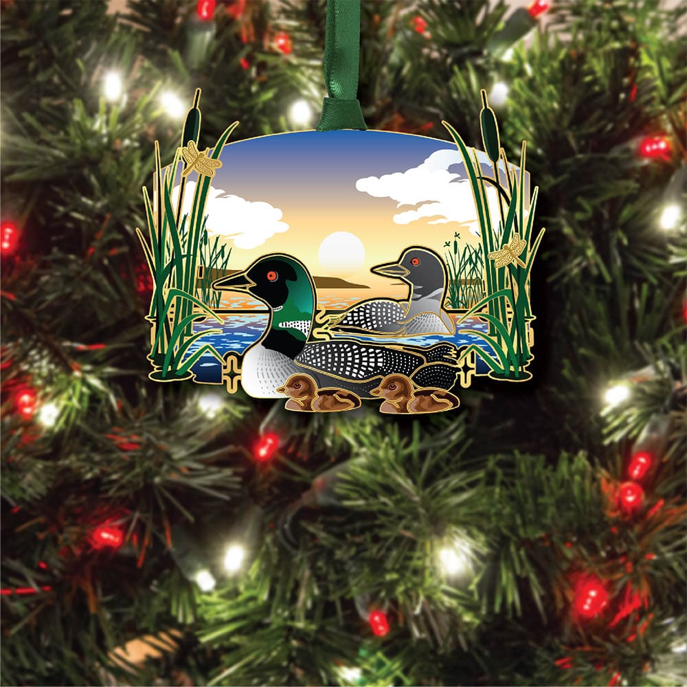 Loon Family