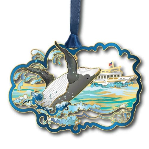 Humpback Whale
