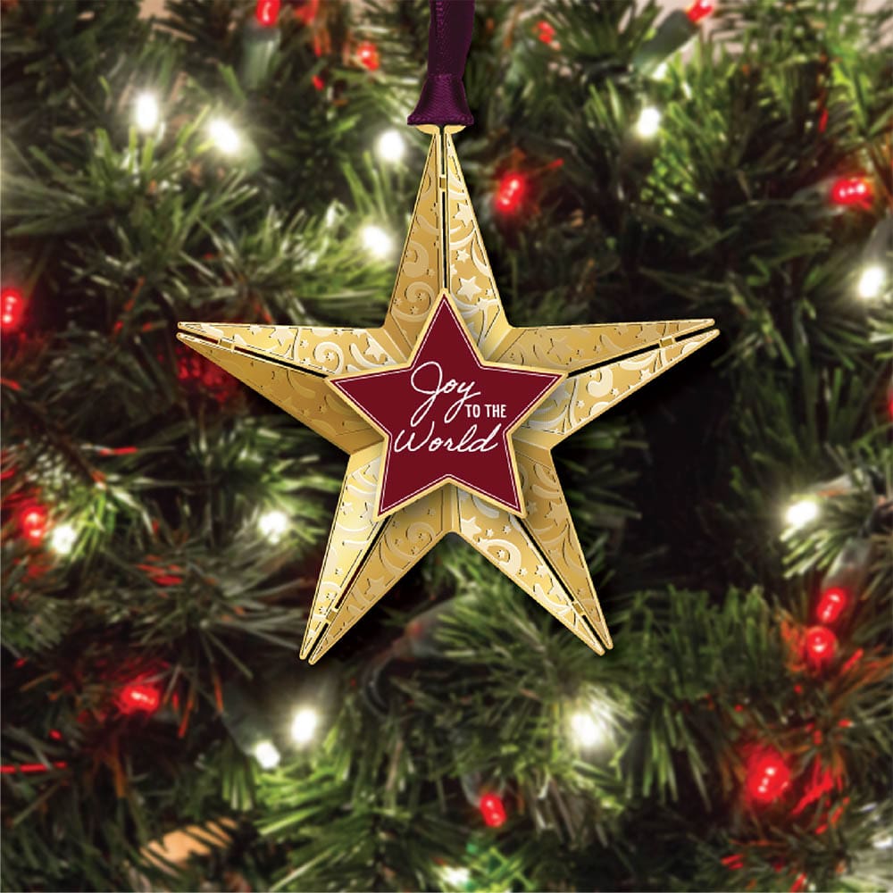 Joy Star - Image 3