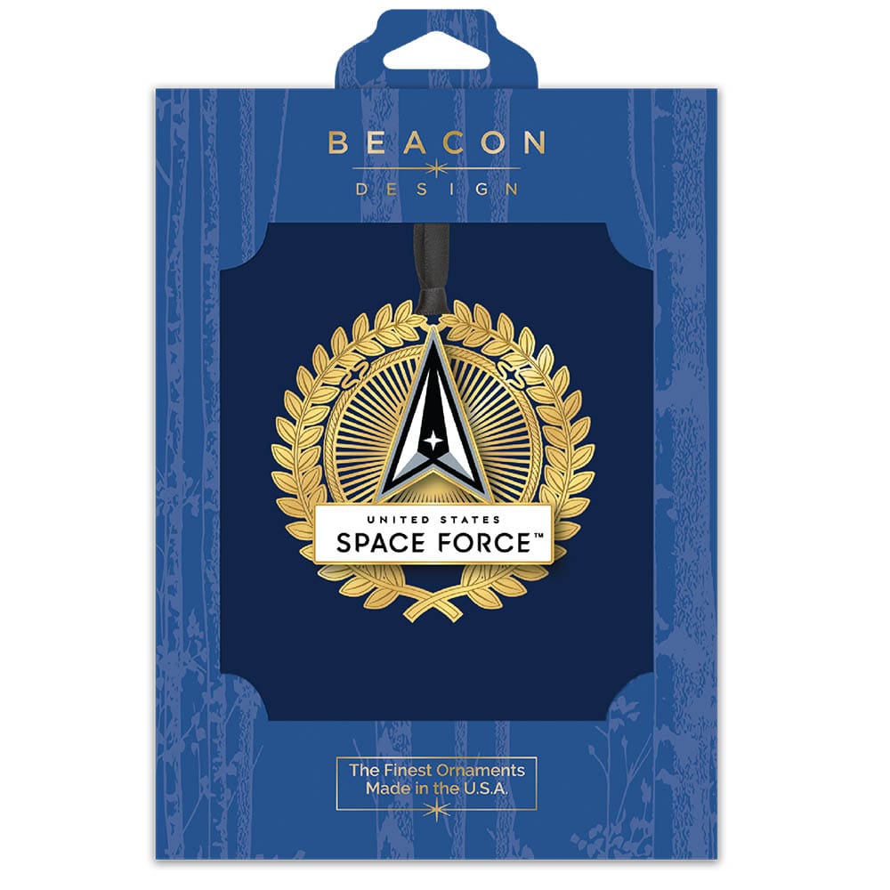 U.S. Space Force Logo