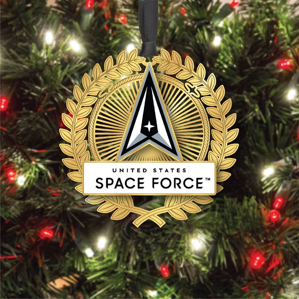 U.S. Space Force Logo