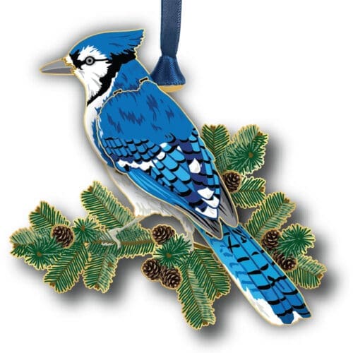 Perching Blue Jay
