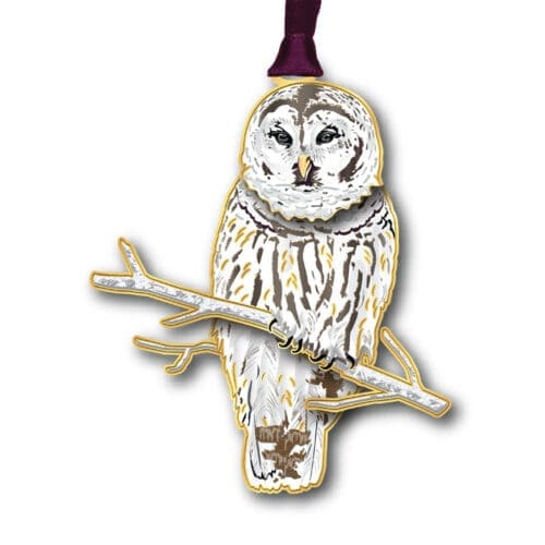 Winter Owl w/ Oval Namedrop