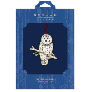 Winter Owl
