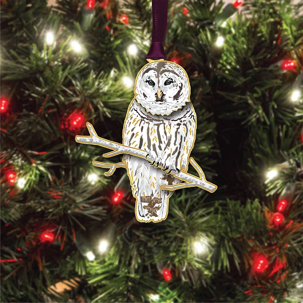 Winter Owl