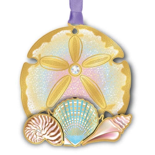 Sand Dollar Collage