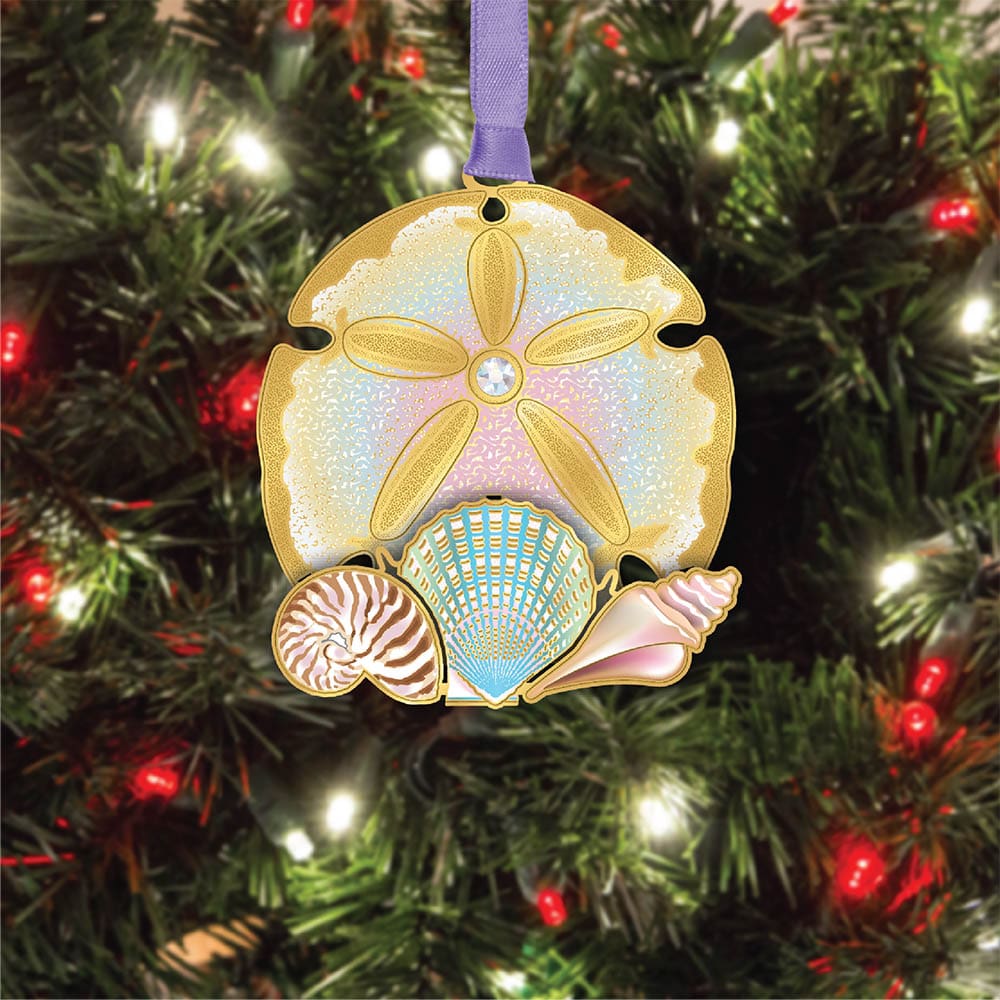 Sand Dollar Collage