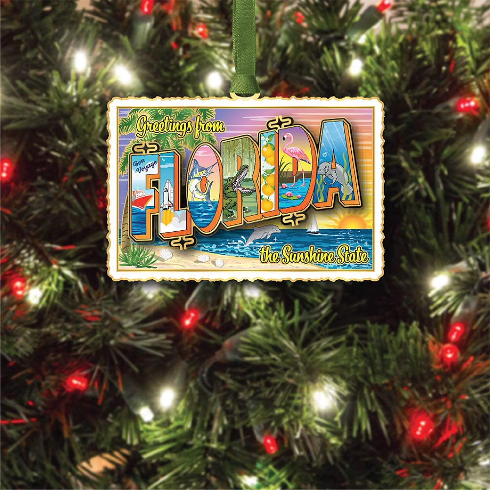 Florida Vintage Postcard