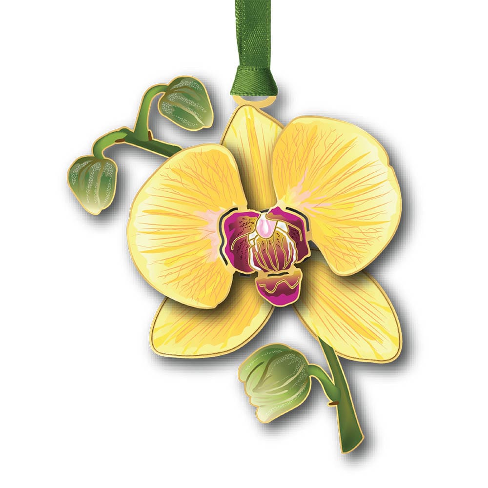 Orchid