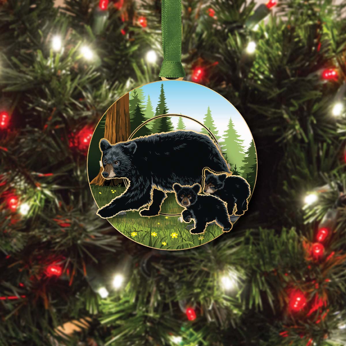 Black Bear & Cubs