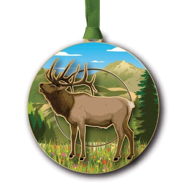 Mountain Elk
