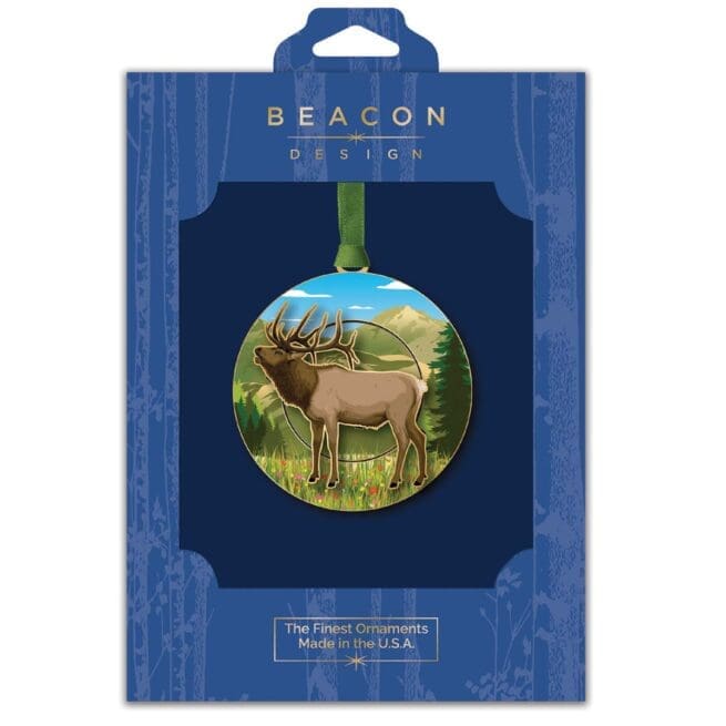 Mountain Elk