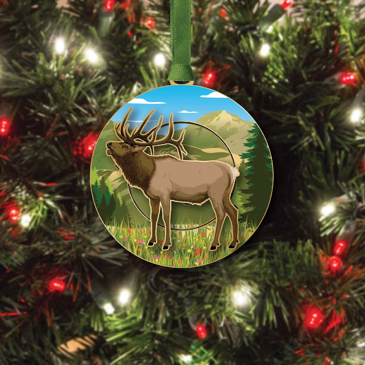 Mountain Elk