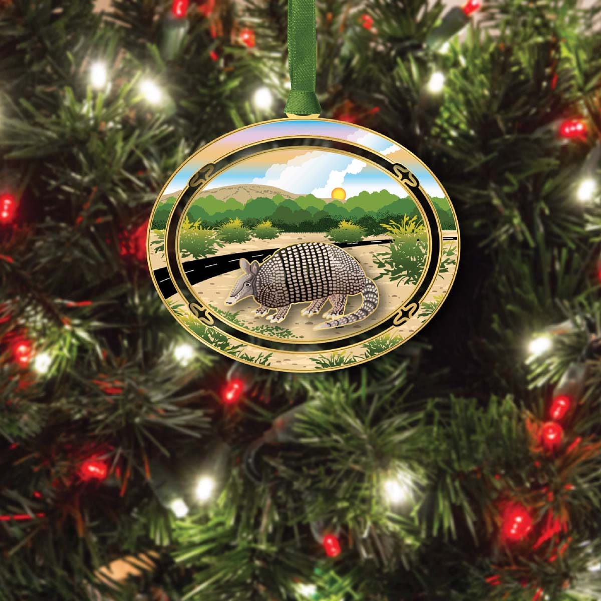 Armadillo
