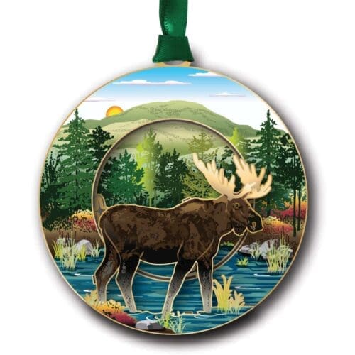 Moose in Bog