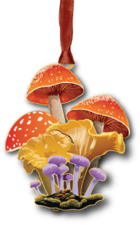 Mushrooms