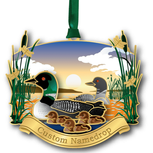 Loon Family Namedrop