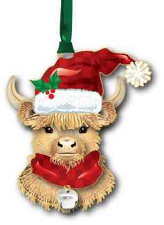 Highland Cow