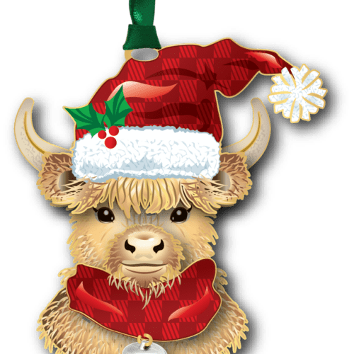 Highland Cow