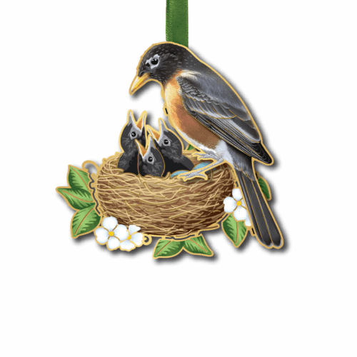 Robin's Nest